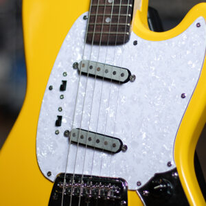 MultiWind SS Loaded Pickguard